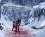 Фотография Лескина Лилия