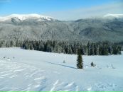 Макс Петруньок фотография #47 (источник - https://vk.com/id14712463)