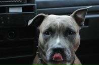 Фотография Царенко Игоря