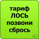 Фотография Аленушка Литовка