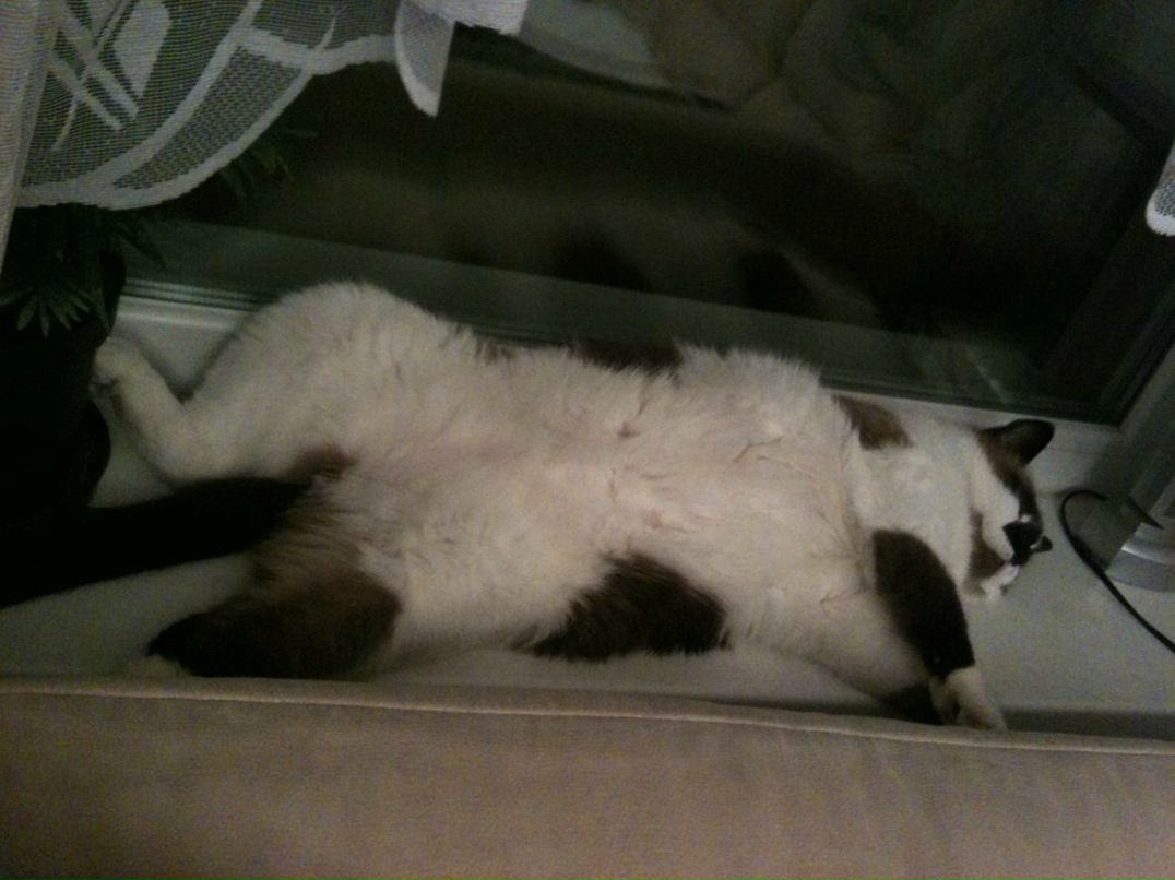 Андрей Рыженко фотография #33