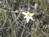 Фотография Белянской Нины