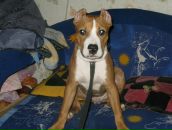 Фотография Рябова Евгения