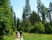 Роман Балов фотография #41 (источник - https://vk.com/id348393)