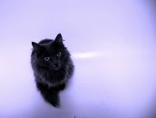 Фотография Канашиной Екатерины