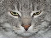 Фотография Mikhalevich Kate