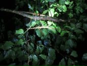 Дмитрий Гомон фотография #16 (источник - https://vk.com/id833603)