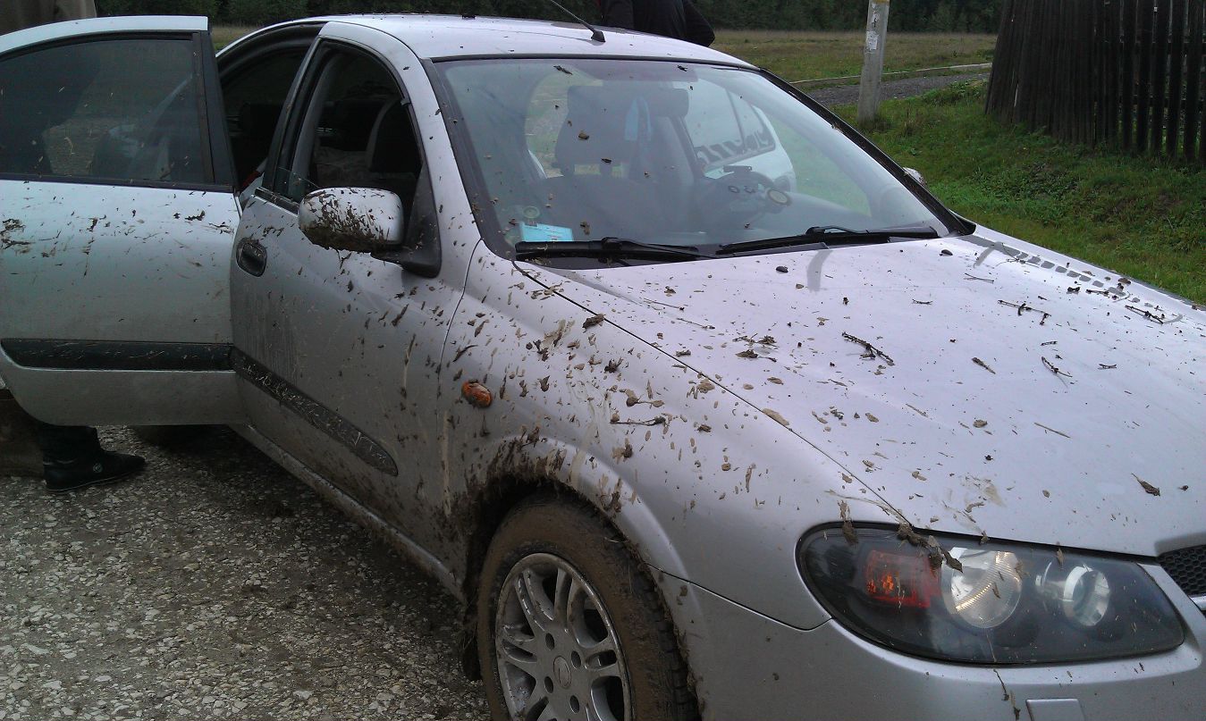 Олег Ли фотография #3