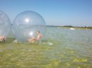 Вікуся Концограда фотография #27 (источник - https://vk.com/id56317941)