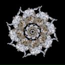 Фотография Скайвокера Anikin