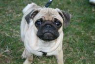 Фотография Суглобовой Ларисы