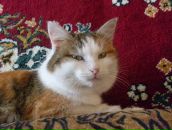 Фотография Салахетдинова Равиля