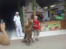 Андрій Єжов фотография #28 (источник - https://vk.com/id160072967)