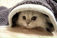 Віка Шакун фотография #21 (источник - https://vk.com/id169144214)