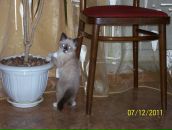 Фотография Илларионовой Галины