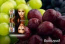 Сашулька Бджілка фотография #23 (источник - https://vk.com/id138740183)