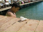 Ірина Лісович фотография #17 (источник - https://vk.com/id19871993)