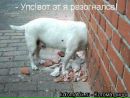 Софія Брачківська фотография #22 (источник - https://vk.com/id151012322)