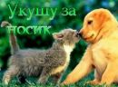 Аня Верічева фотография #5 (источник - https://vk.com/id160110634)
