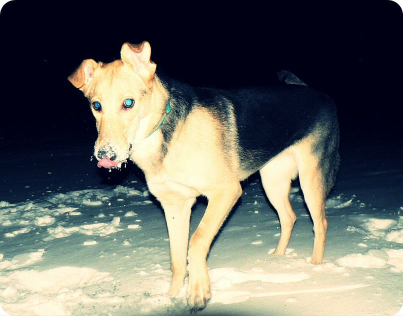 Женя Труфанов фотография #50