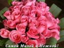 Ірусічок Галицька фотография #22 (источник - https://vk.com/id168650826)