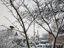 Ігор Пасічний фотография #26 (источник - https://vk.com/id162397410)