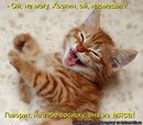 Діася Лехкун фотография #8 (источник - https://vk.com/id152562838)