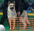 Ярик Сусляк фотография #14 (источник - https://vk.com/id6677792)