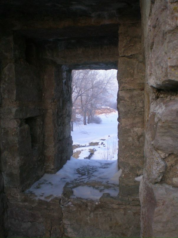 Светлана Линчевская фотография #30