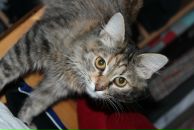 Фотография Логвинова Сергея