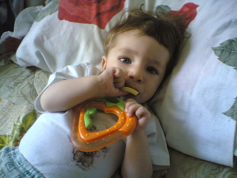 Дмитрий Кущёв фотография #10