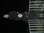 Фотография Трофимова Дмитрия