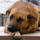 Ігор Чорний фотография #22 (источник - https://vk.com/id163553955)