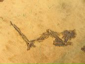 Игорь Ерохин фотография #10 (источник - https://vk.com/id1961268)