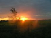 Фотография Жильцовой Елены