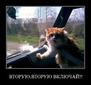Люда Зінченко фотография #16 (источник - https://vk.com/id159287829)