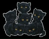 Фотография Иванов Дм