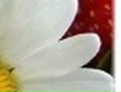 Ігорьок Лихацький фотография #16 (источник - https://vk.com/id117523521)