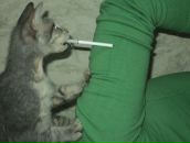 Фотография Шолкова Константина