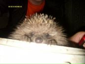 Фотография Кубышкина Владимира