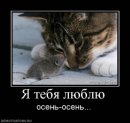 Марія Дереш фотография #38 (источник - https://vk.com/id213971028)