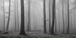 Марат Гайсин фотография #1