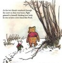 Ольга Бойкова фотография #11 (источник - https://vk.com/id970289)