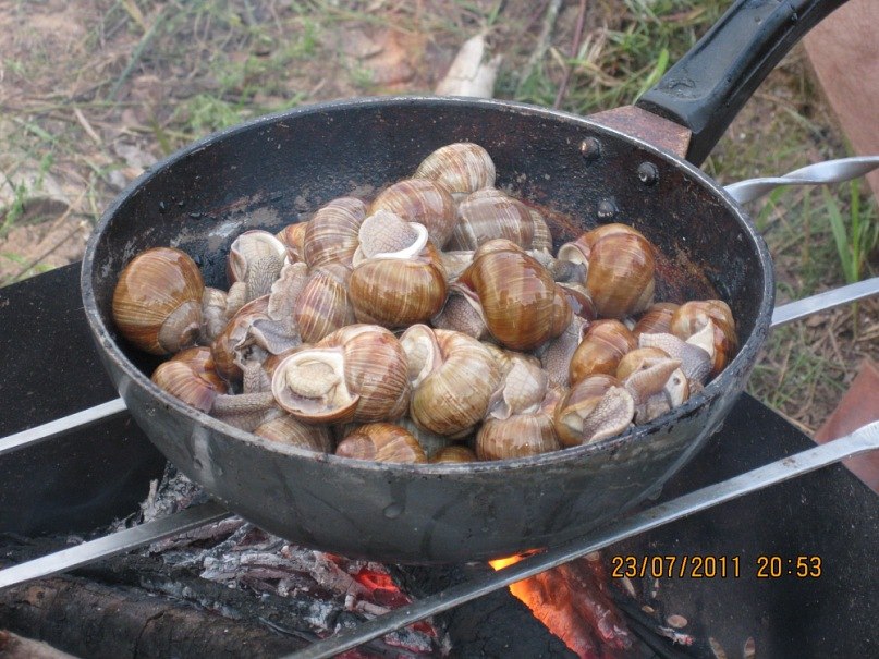 Дима Лапко фотография #23