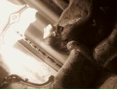 Фотография Литвиновой Марии