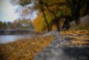 Эльдар Насиров фотография #9 (источник - https://vk.com/id2912091)