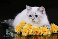 Фотография Оболкиной Елены