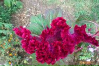 Разбитое Сердце фотография #18 (источник - https://vk.com/id611602)