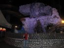 Юра Касіч фотография #26 (источник - https://vk.com/id52757846)