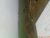 Вітьок Лiщук фотография #7 (источник - https://vk.com/id122234281)